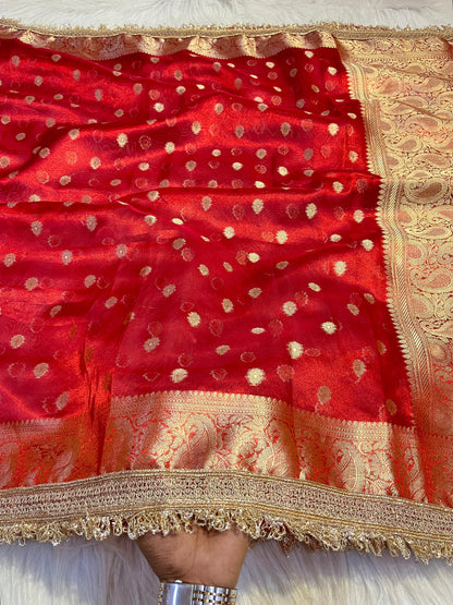 Premium Banarasi Tissue Saree with Golden Zari & Attached Lace Border – Red Bridal Edition