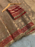 Elegant Tissue Banarasi Saree with Red Attached Lace Work | Premium Party & Wedding Wear
