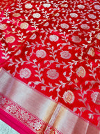 Royal Red Banarasi Katan Semi Silk Saree with Rich Golden Zari Floral Jaal Weaving